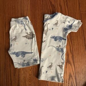 Burt's Bees Kids Blue Dinosaur Pajama Set